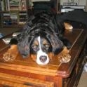 Keene Xoie Coffee Table